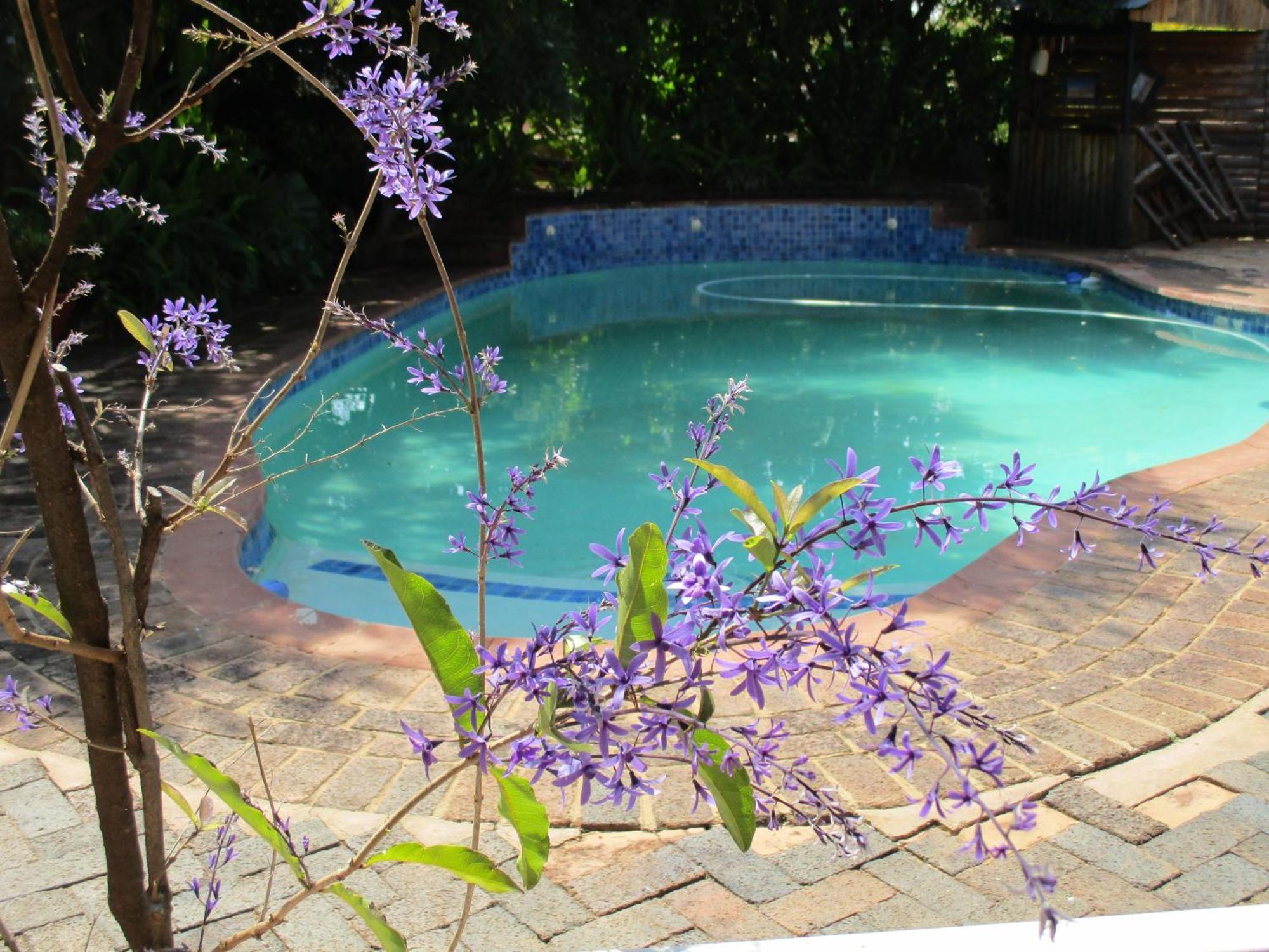 קלרקסדורפ Ukarimu Guest House מראה חיצוני תמונה