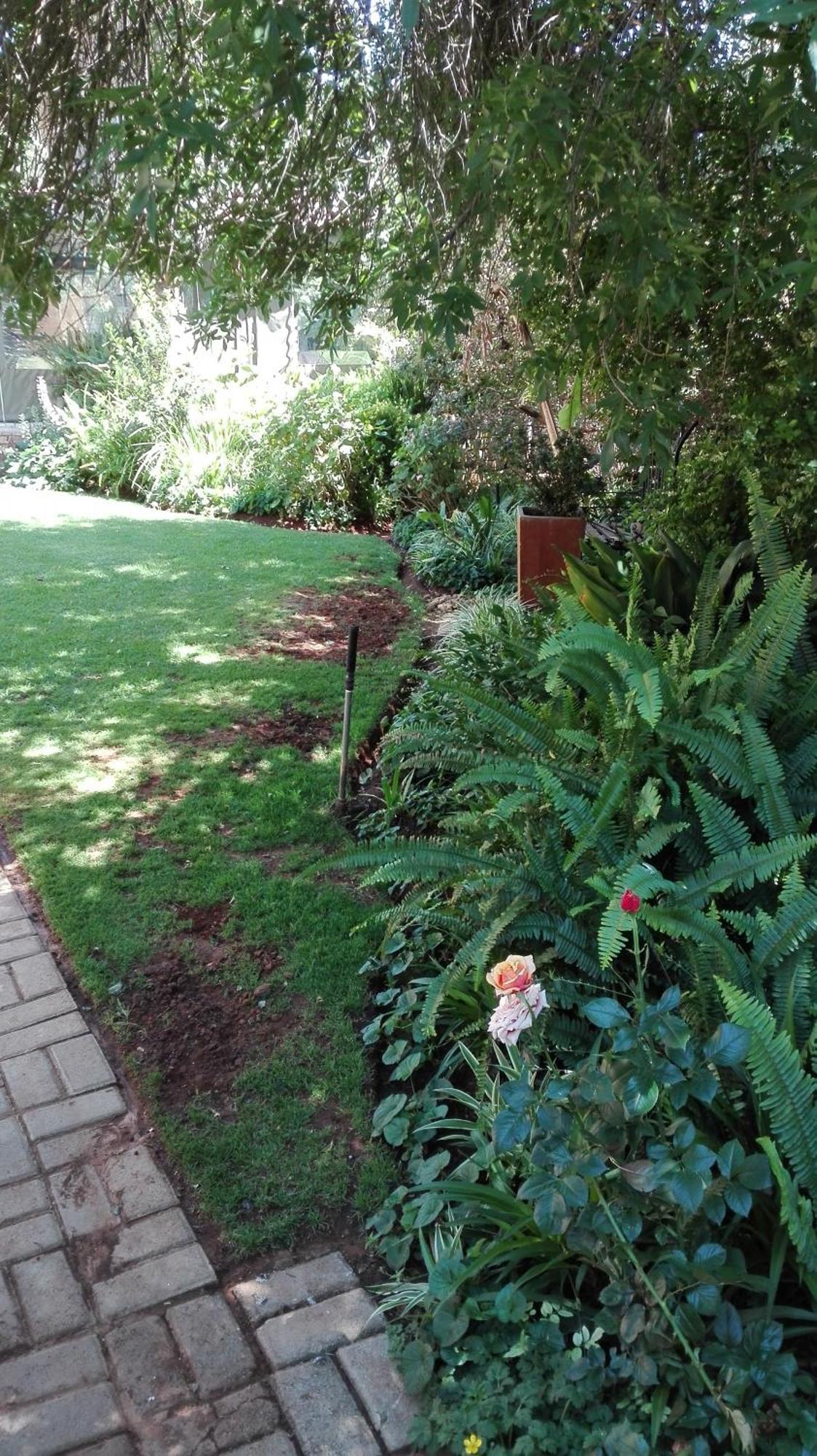 קלרקסדורפ Ukarimu Guest House מראה חיצוני תמונה